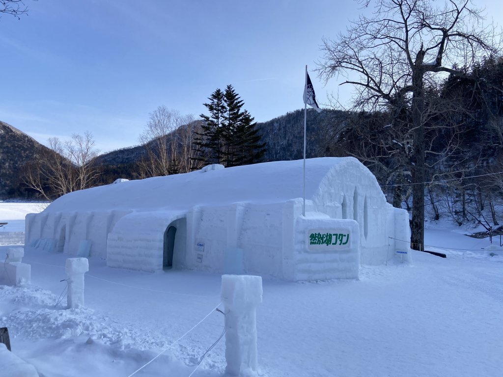 北海道------雪祭_3001904