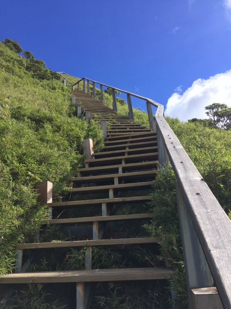 邊緣系山友：推坑女孩當山友合歡群峰封面圖