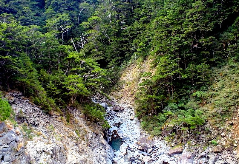 山風15度C吹拂 ~ 合歡溪 步道_1551746