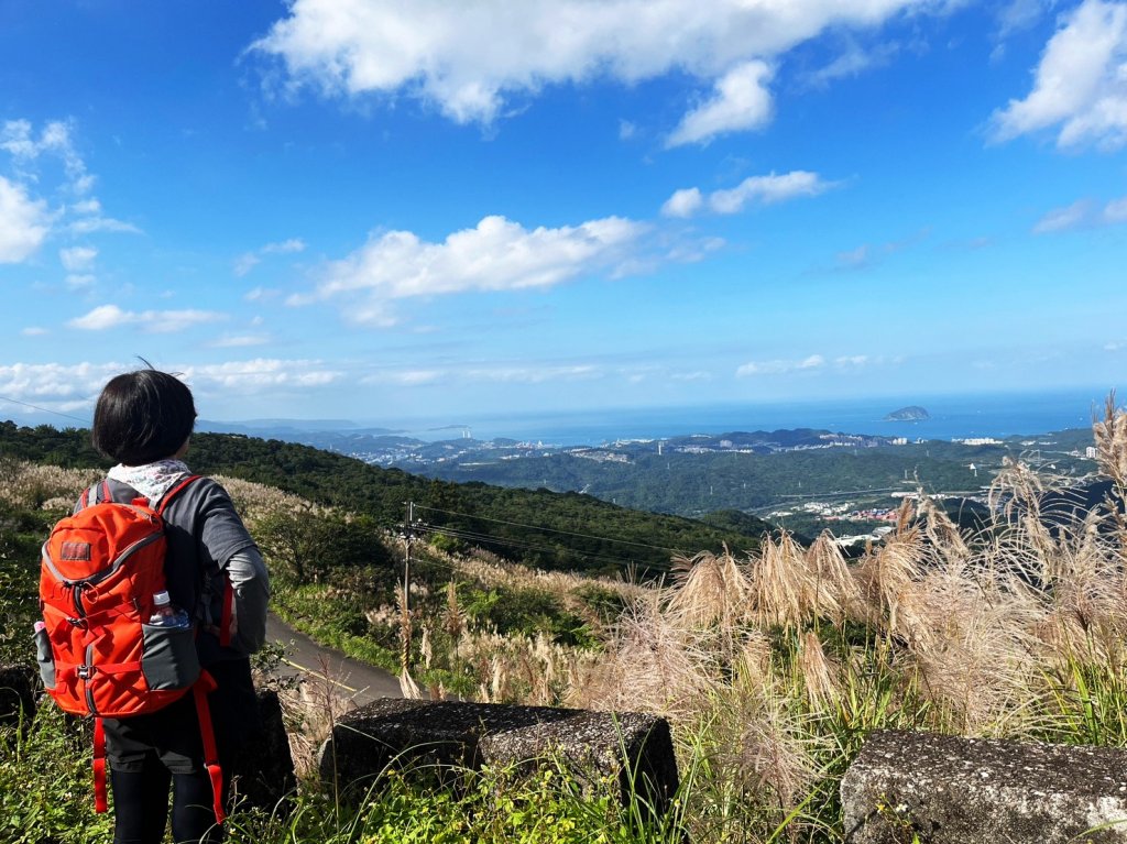 愛在秋芒紛飛時...五分山_2353770