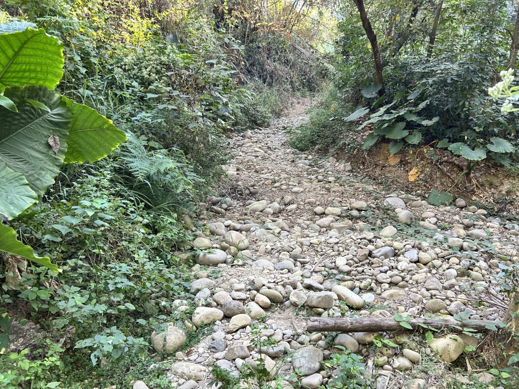 橫山觀日步道_2957496