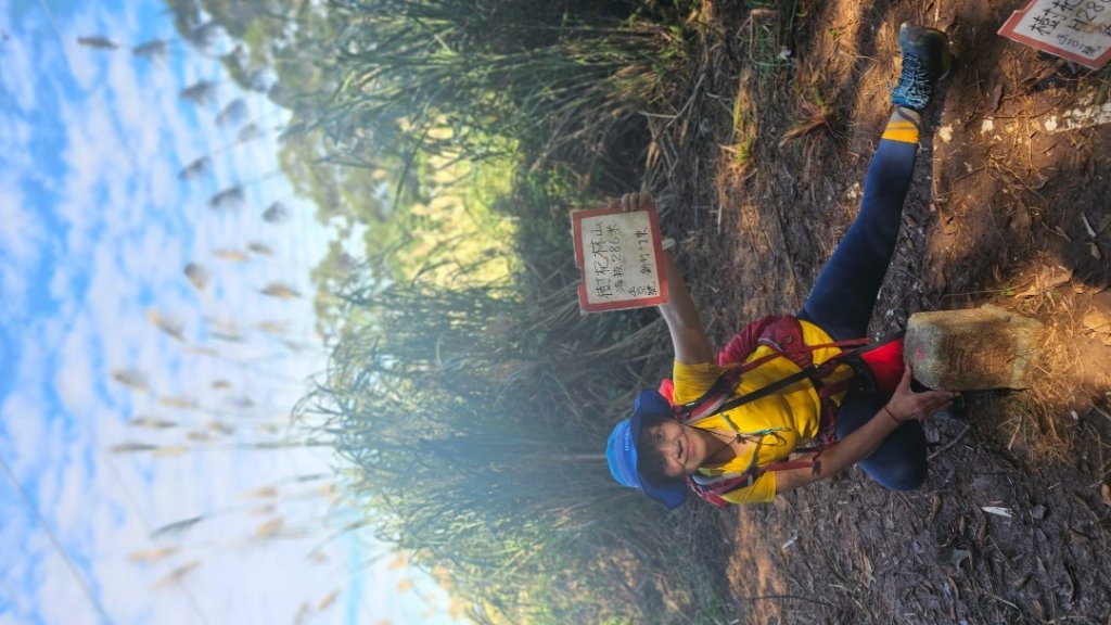 竹東三山O_2375997