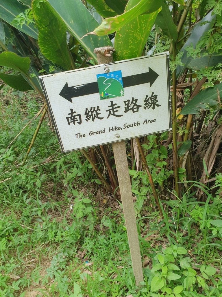 2020台北縱走第七段_995328