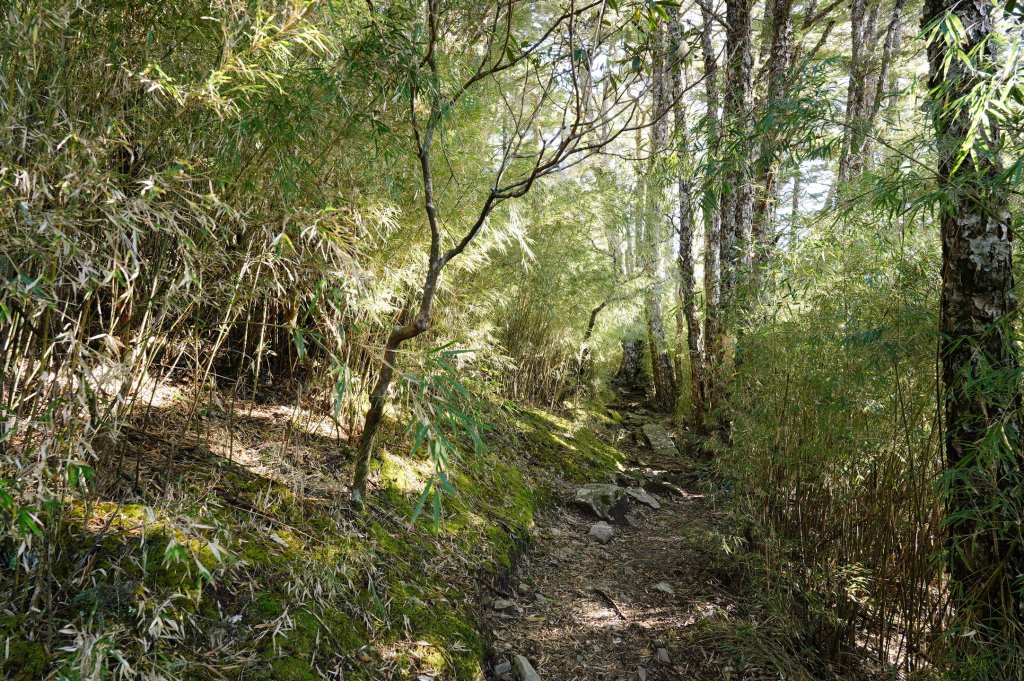 臺中 和平 池有山_2653679