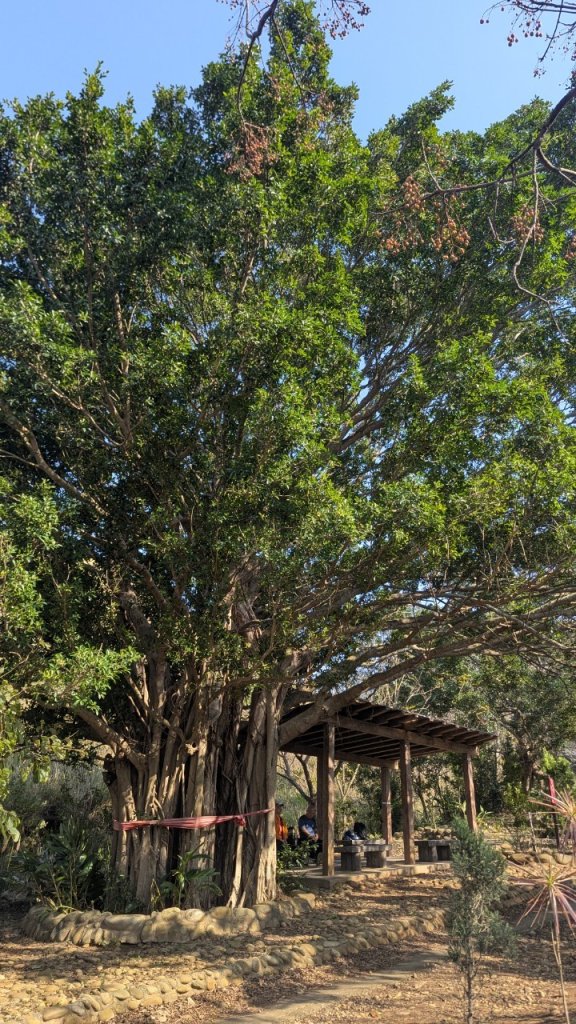 竹坑南寮登山步道_2719379