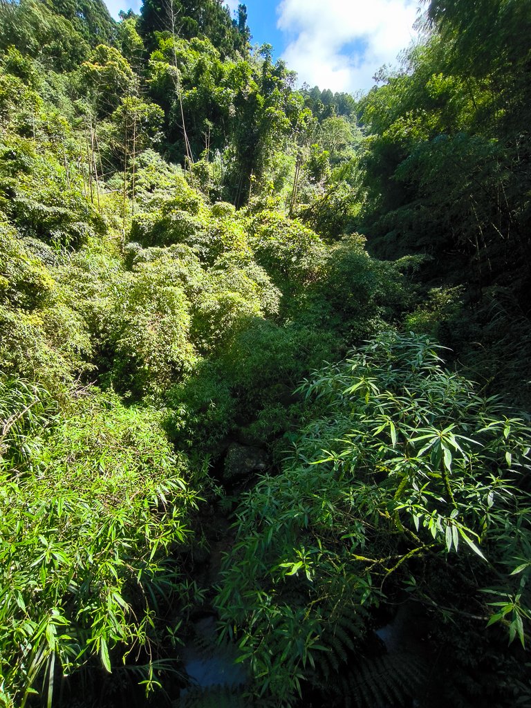 2025-09-14 奮起湖_2887407