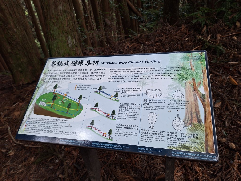 觀霧之榛山O型20241123_2653968