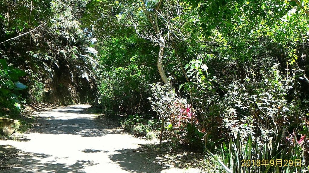 萬豐社區環山步道_412531