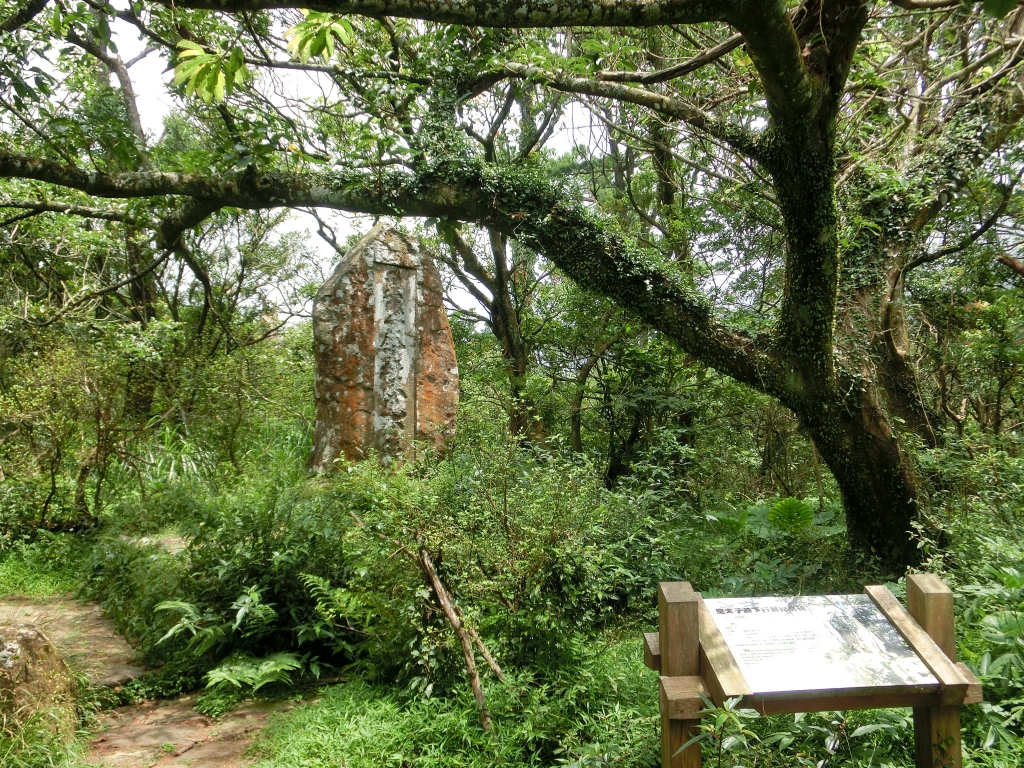 面天山．向天山．向天池_94282