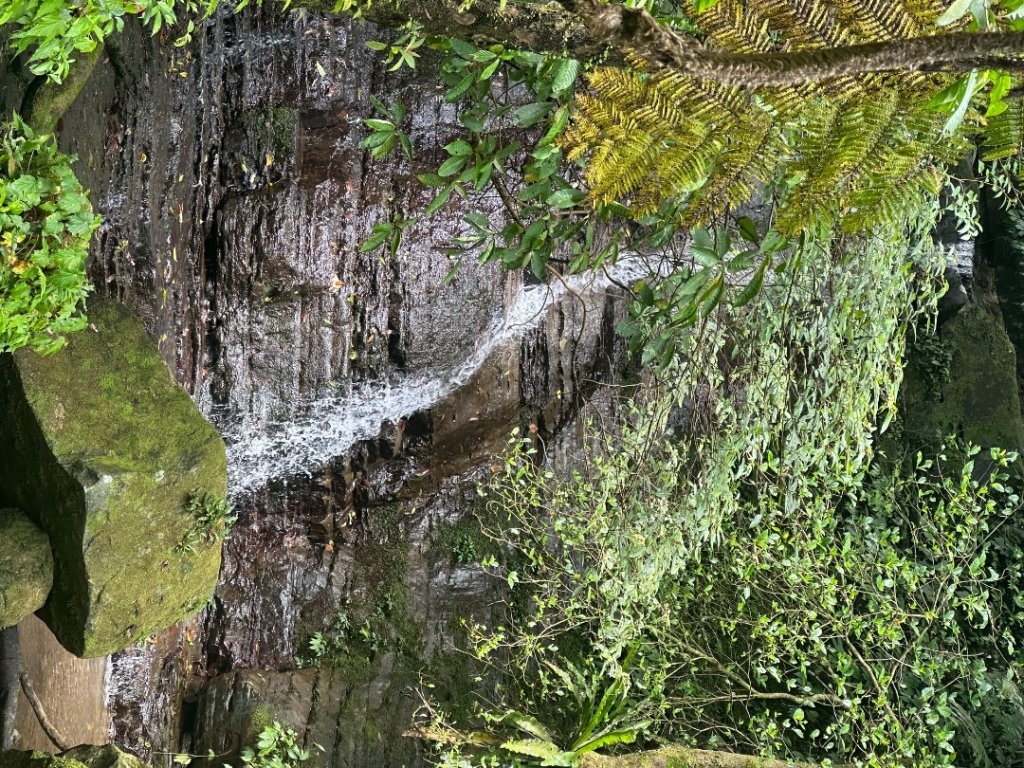 小百岳-012新北汐止-汐止大尖山_2600247