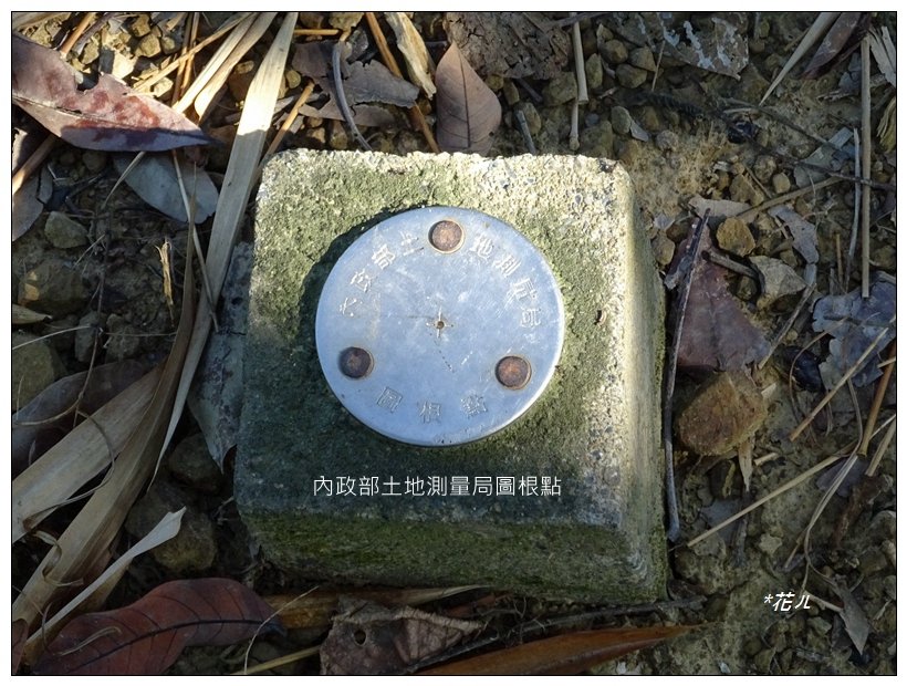 八德巷登山步道(台中/霧峰)_2368107