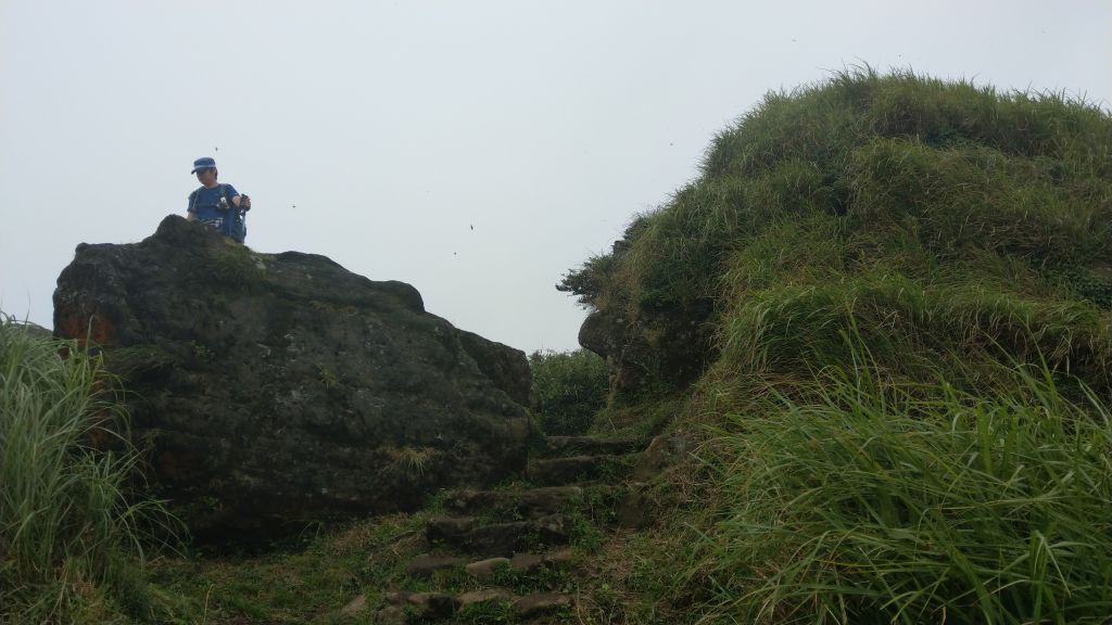 陽明山東西大縱走活動_403085