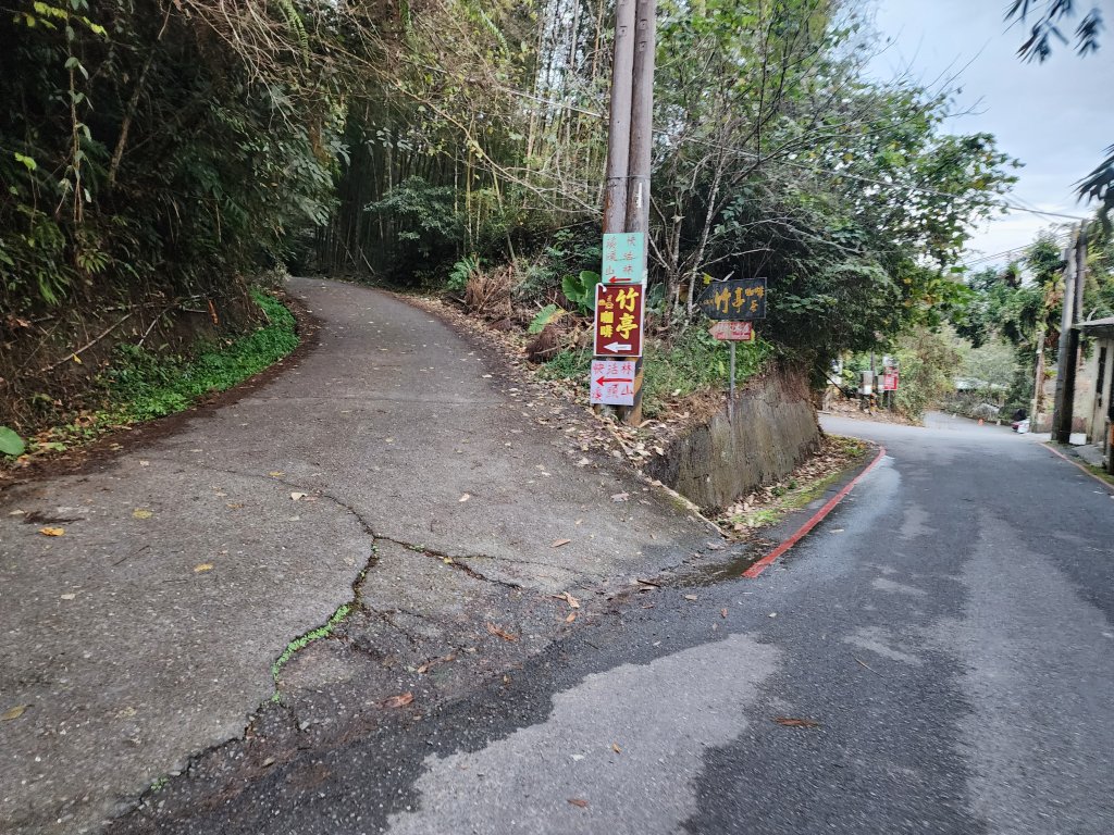 20251228溪頭山龍鳳山嶺頭山O型_2992361