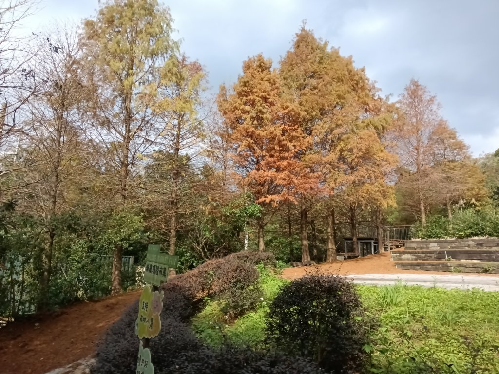 基隆市三層山+湳子大崙+淡基橫斷古道+面桶寮土地公封面圖