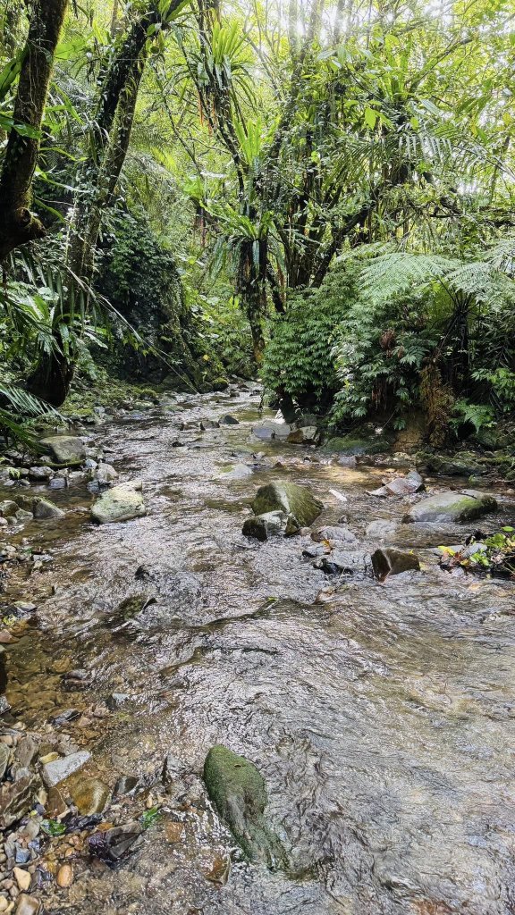 20250803枋山坑古道封面圖