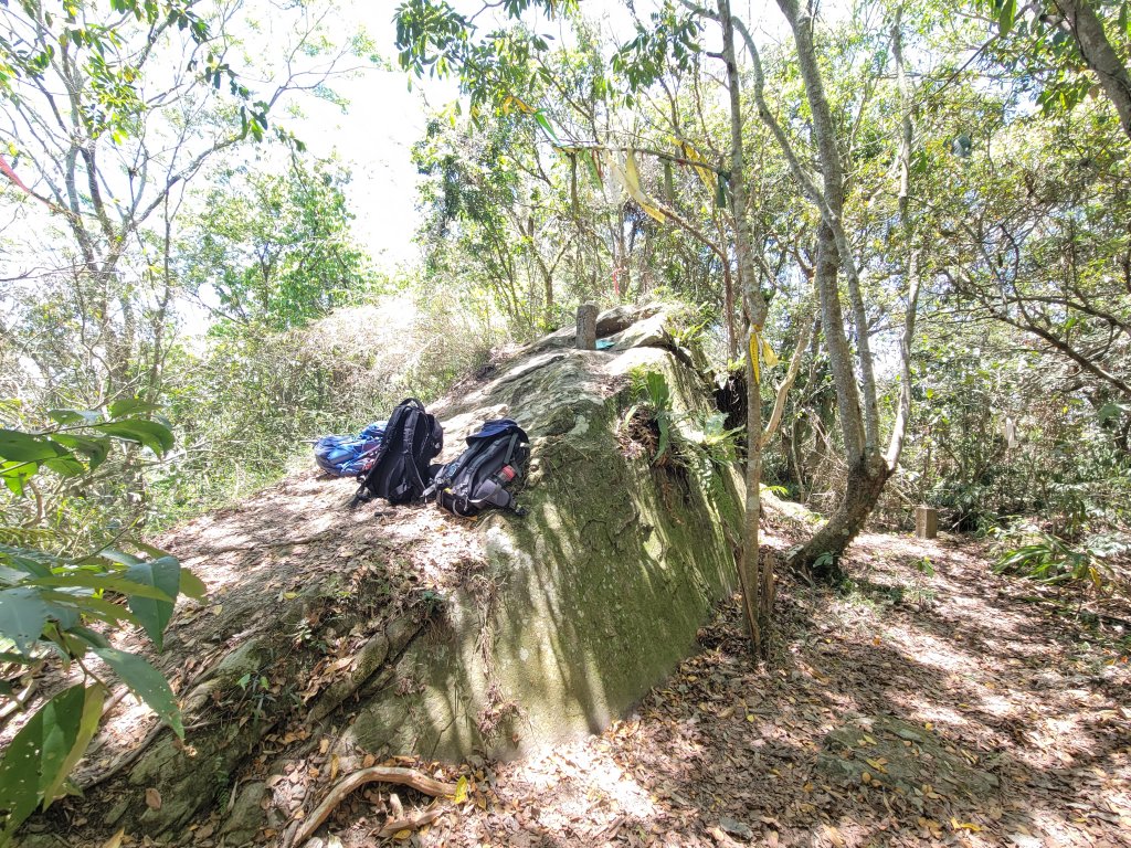 【台南 | 南化】小百岳 西阿里關山 練開車技術的好地方_1389380