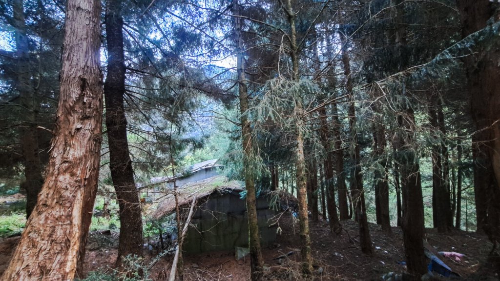 2024四天三夜六順七彩封面圖