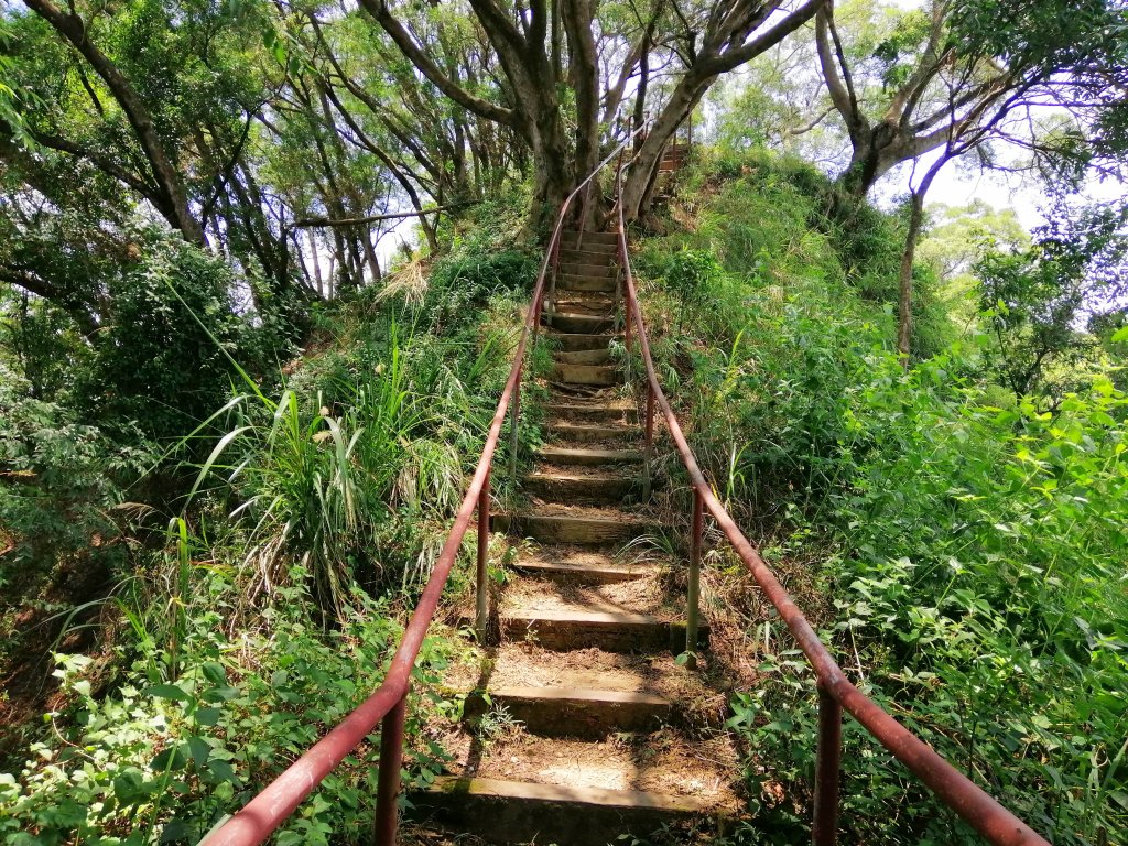 彰化社頭~陡直天梯好視野~中央嶺造林步道封面圖