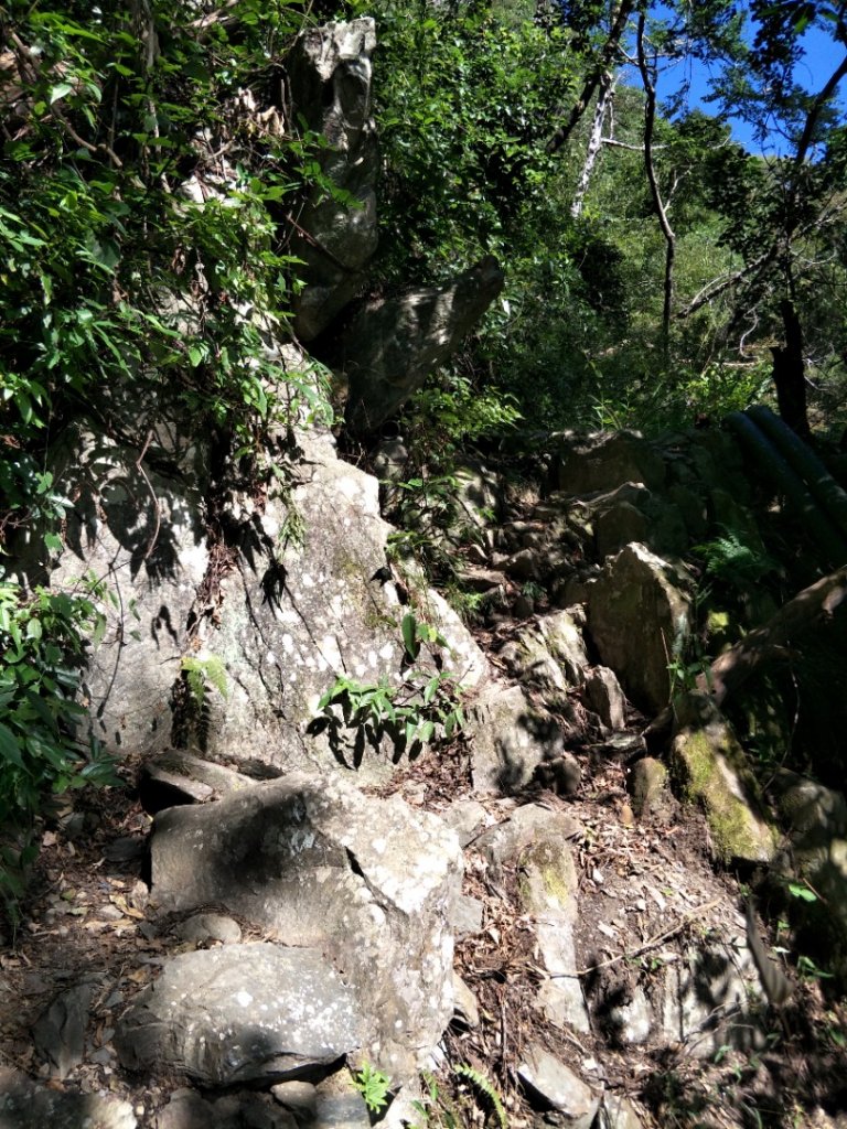 谷關七雄：屋東縱走-屋我尾山-麗陽上_1491968