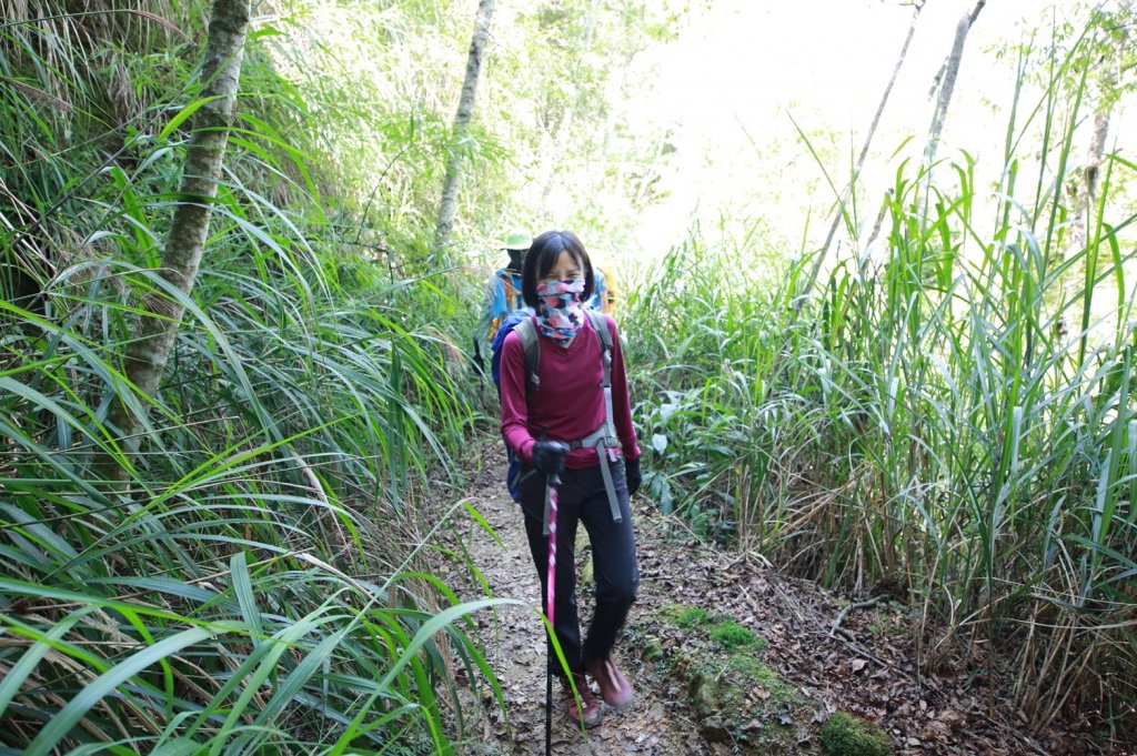 水樣森林 第一次在山裡過夜_658800