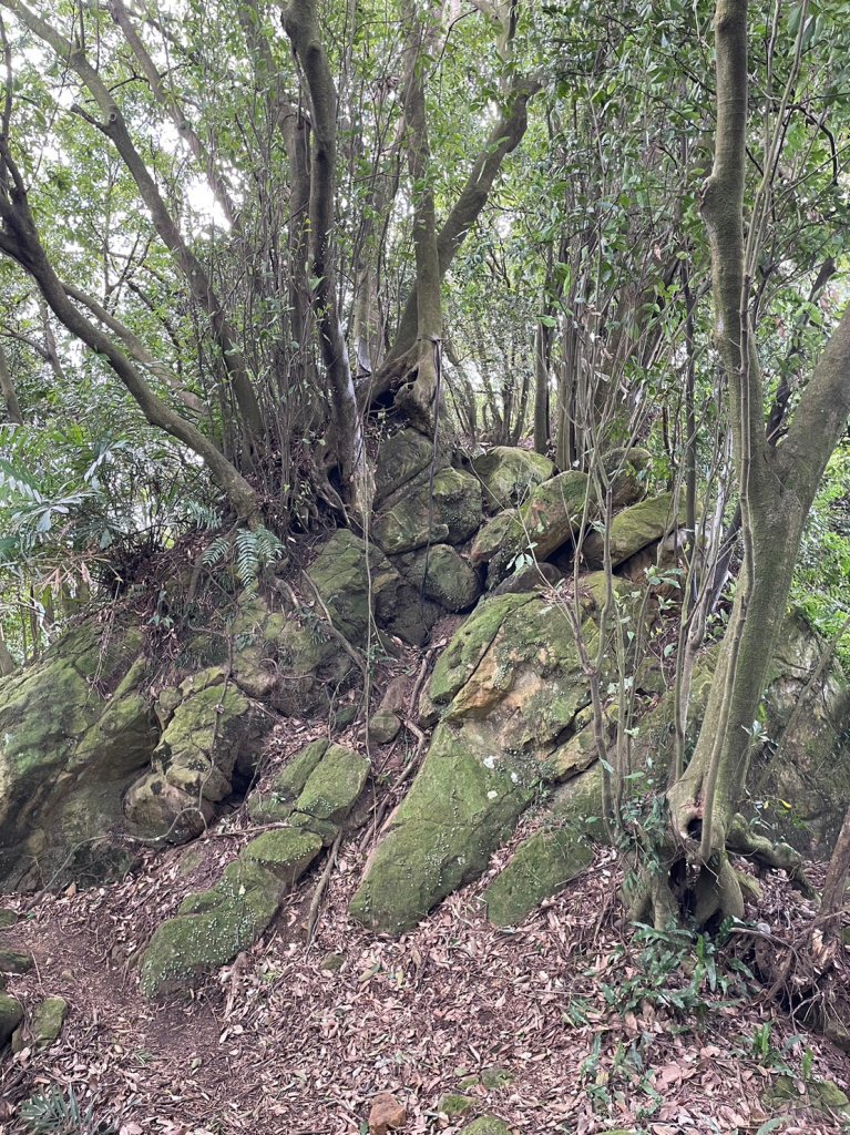 鳶山O型縱走_2369557
