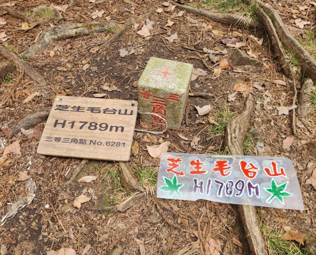 【中級山】芝生毛台山，芝生毛台山西峰，秀巒軍艦岩，屯野生步道，屯野生砲台_2745116