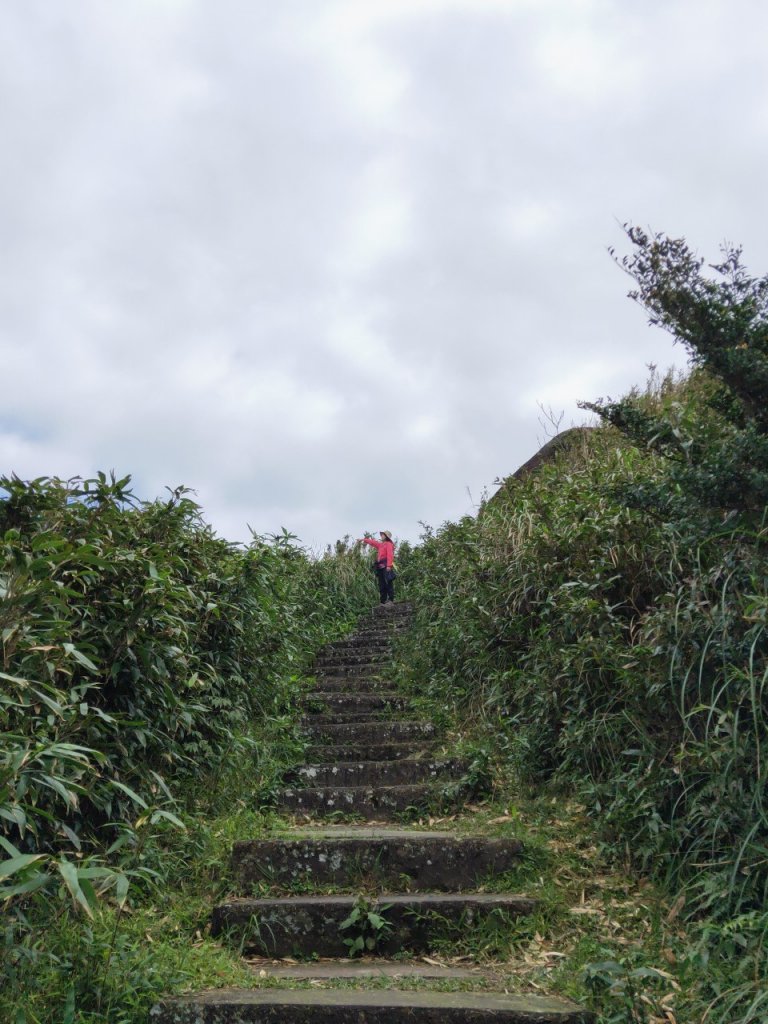 小百岳(82)-灣坑頭山-20230227_2069593