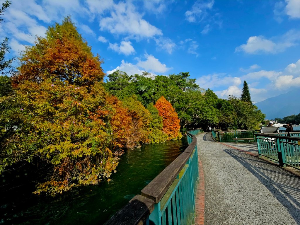 日月潭徒步環潭30公里封面圖