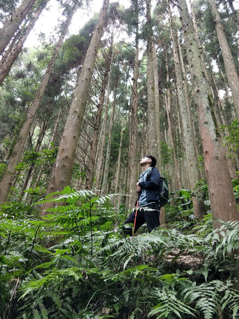 109.10.09高台山封面圖