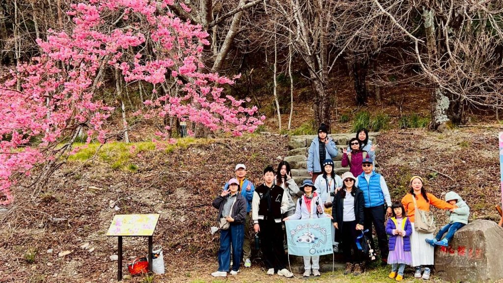 🌈2026.02.14+17武陵櫻花季✨FB：熊熊趴爬走🌈封面圖