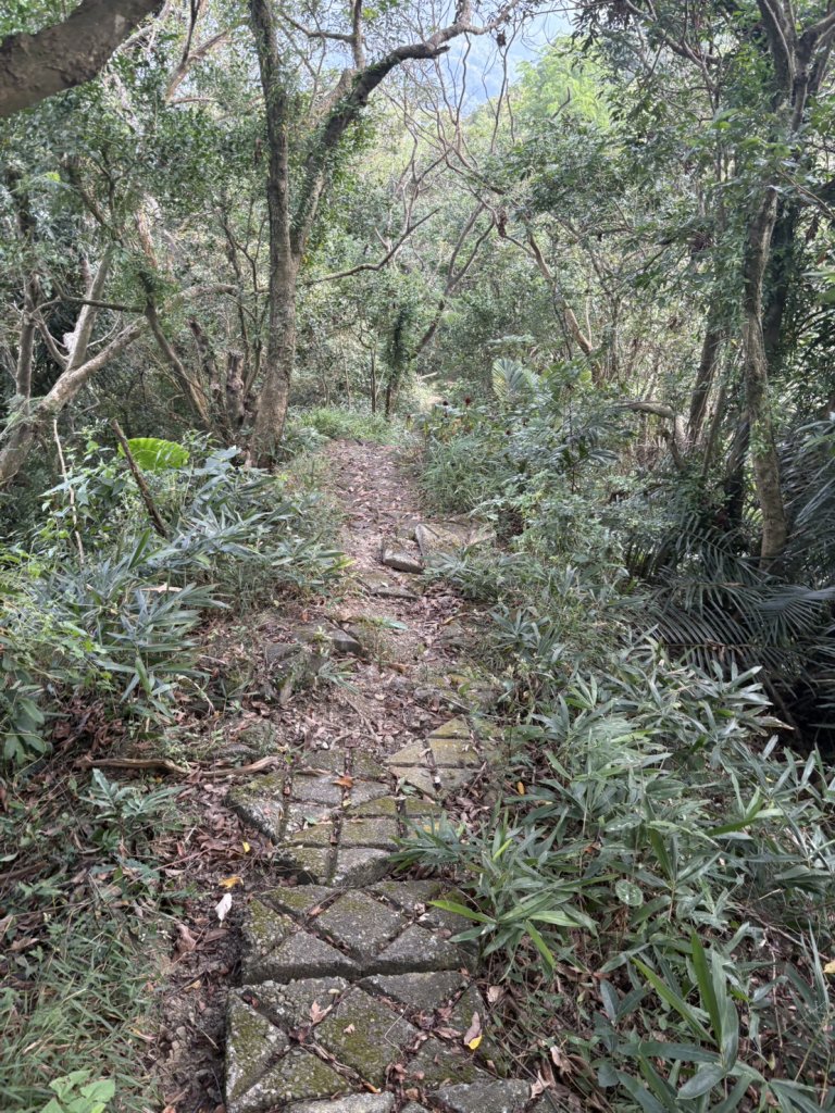 烏山縱走北段 雲山寺至刣牛湖山(途經風空子山.孟璋山.烏山.刣牛湖山北峰)_2928774