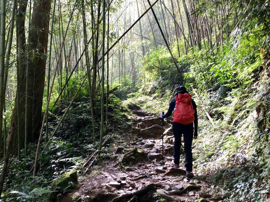 奮起湖大凍山環走_318387