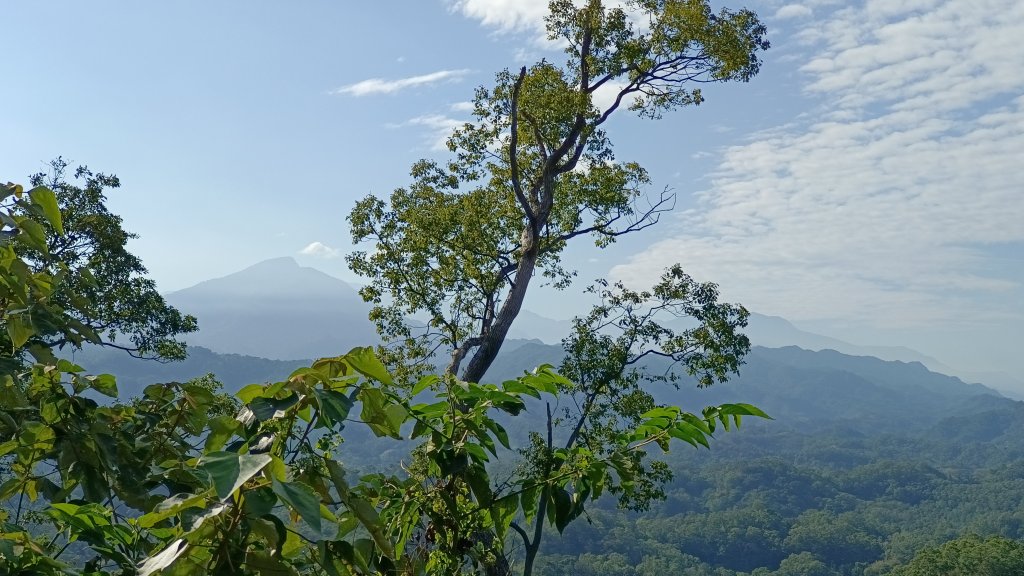 (姨婆趴趴走)第四十五集:新竹竹東三山（新具庄山、樹杞林山、員崠子山）環狀縱走封面圖