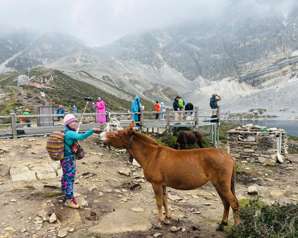 西藏♥️可愛動物🐎人物寫真/拉薩旅拍/美食_2902959