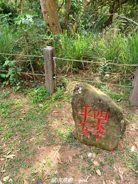 【彰化員林】員林百果山上最具人氣的休閒步道。 台灣百大必訪步道。 藤山步道_1689498