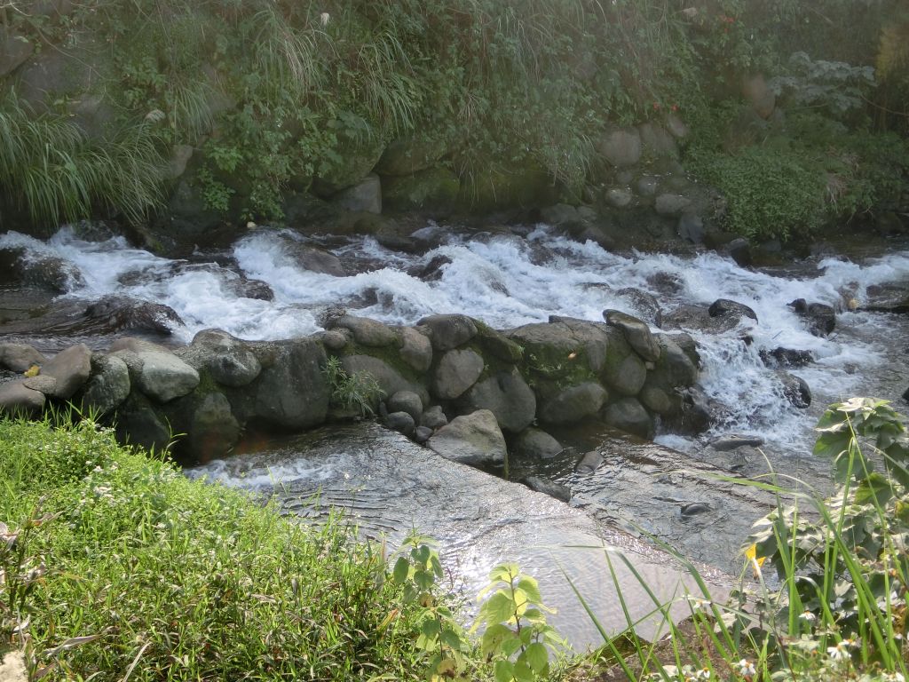 大坑溪三生步道_105761