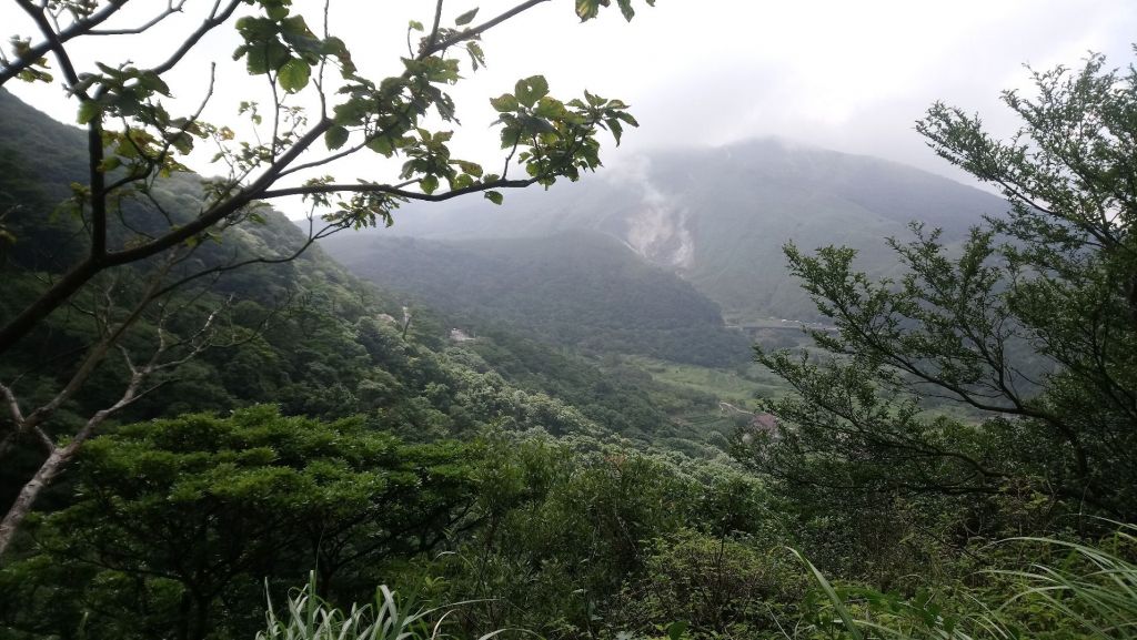 【7/28】大縱走-3,4 大屯面天向天_374434