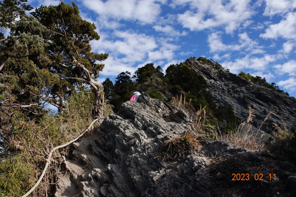 高雄 桃源 關山嶺山_2031280