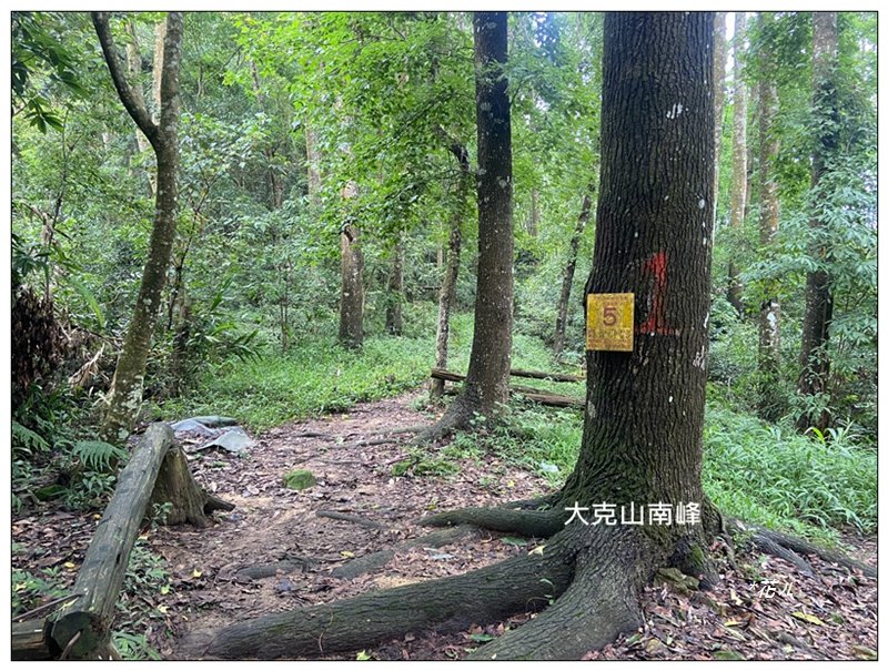 大克山 南稜線A上B下 (卓蘭最高峰)_2825460