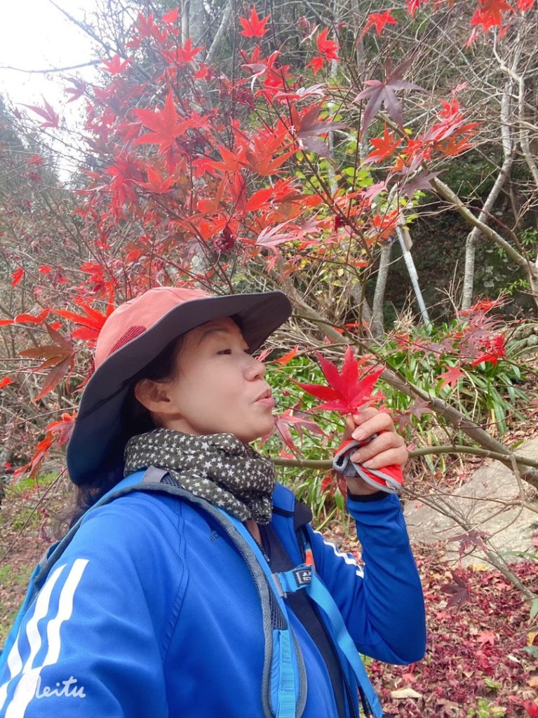 志佳陽大山_2611750