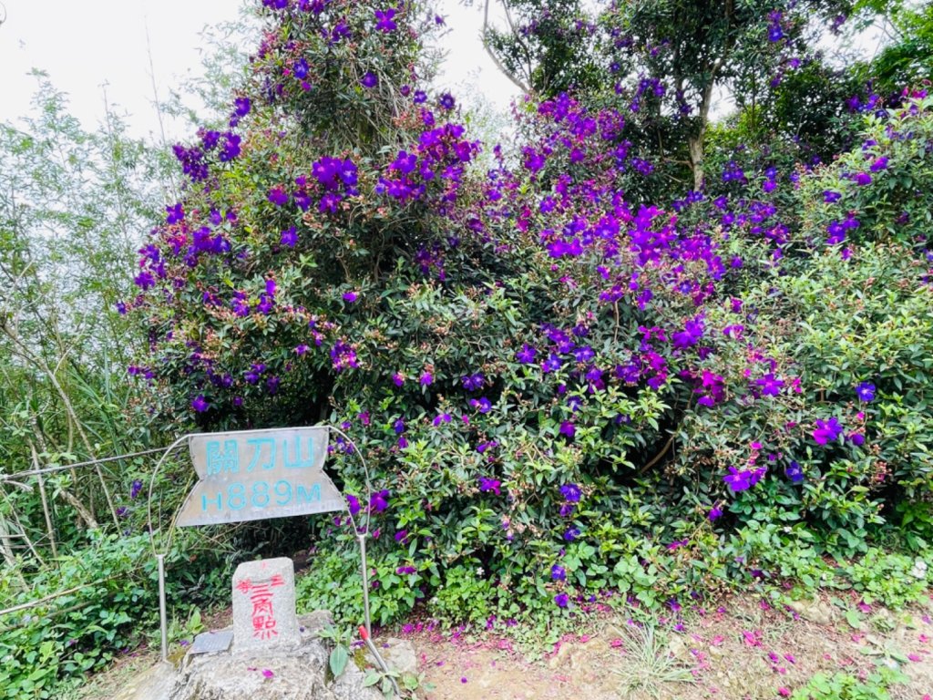 1140427二訪～關刀山_2771865