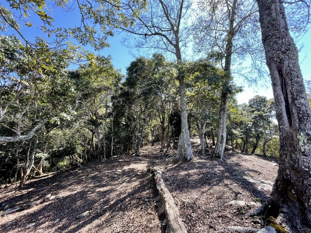 卡社山、拉夫朗山、加年端山 O型縱走 (二)_1351290