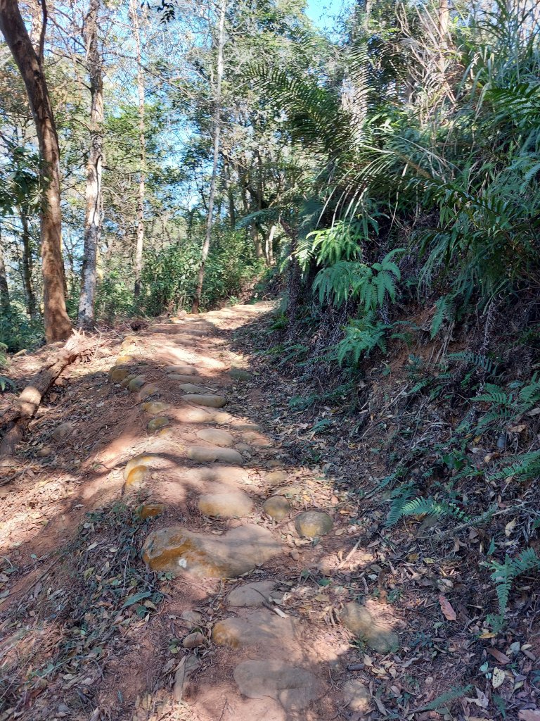 挑炭古道、三通嶺、慈濟山、三義山O型20211204_1807161