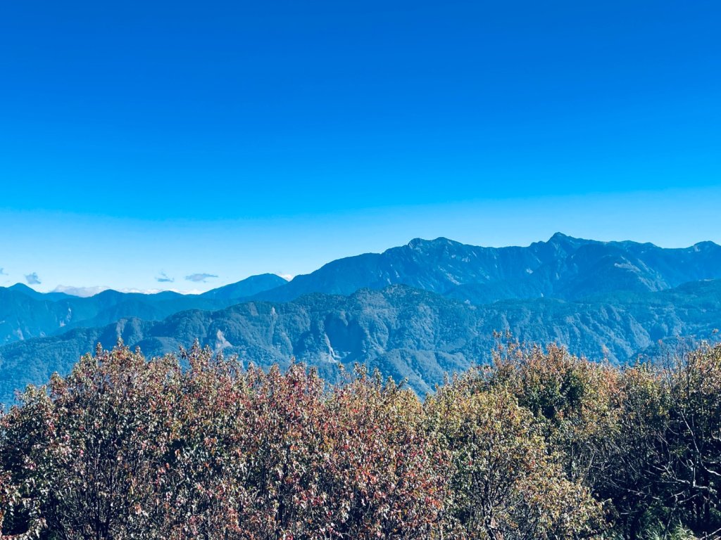 20251209 阿里山-小笠原觀景平台、祝山觀日步道_2959803
