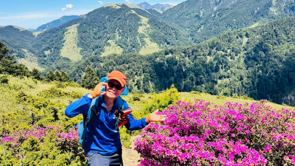 合歡山七連峰的空中花園賞花趣封面圖