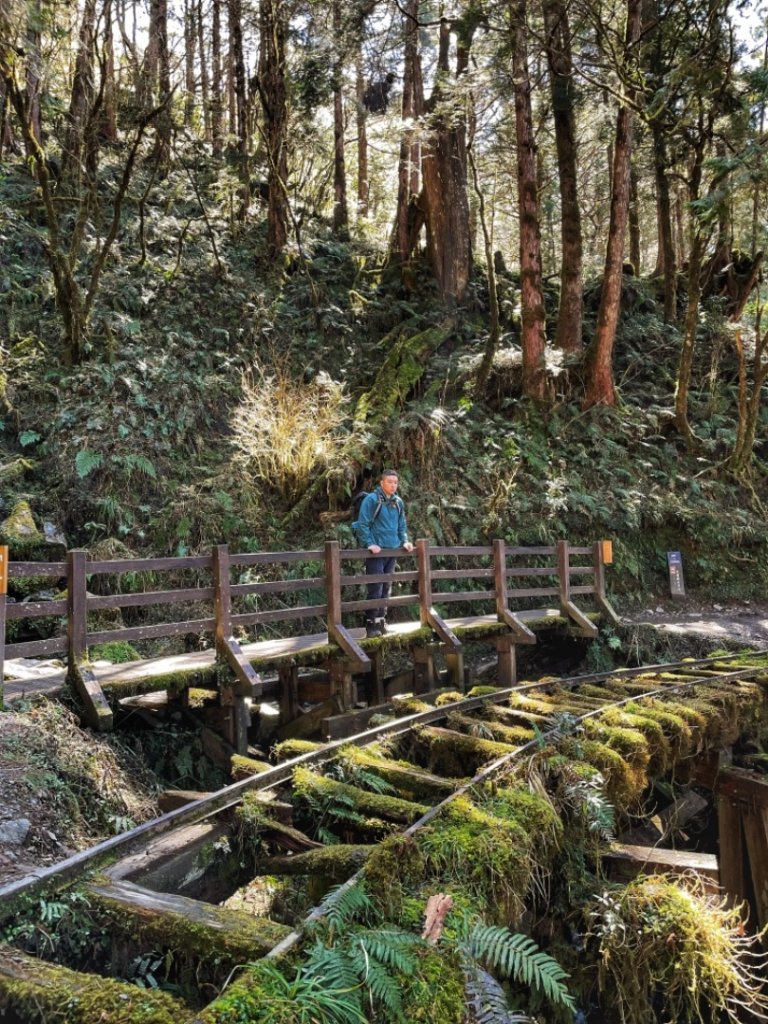 見晴懷古步道封面圖