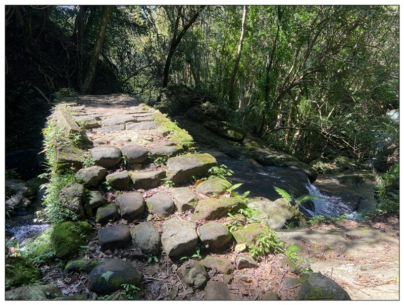 草嶺山、白石山、頭寮山 六連峰 O型路線_2798616