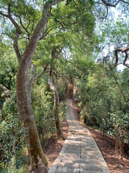 【苗栗造橋】適合親子悠閒踏青。劍潭古道_2533445