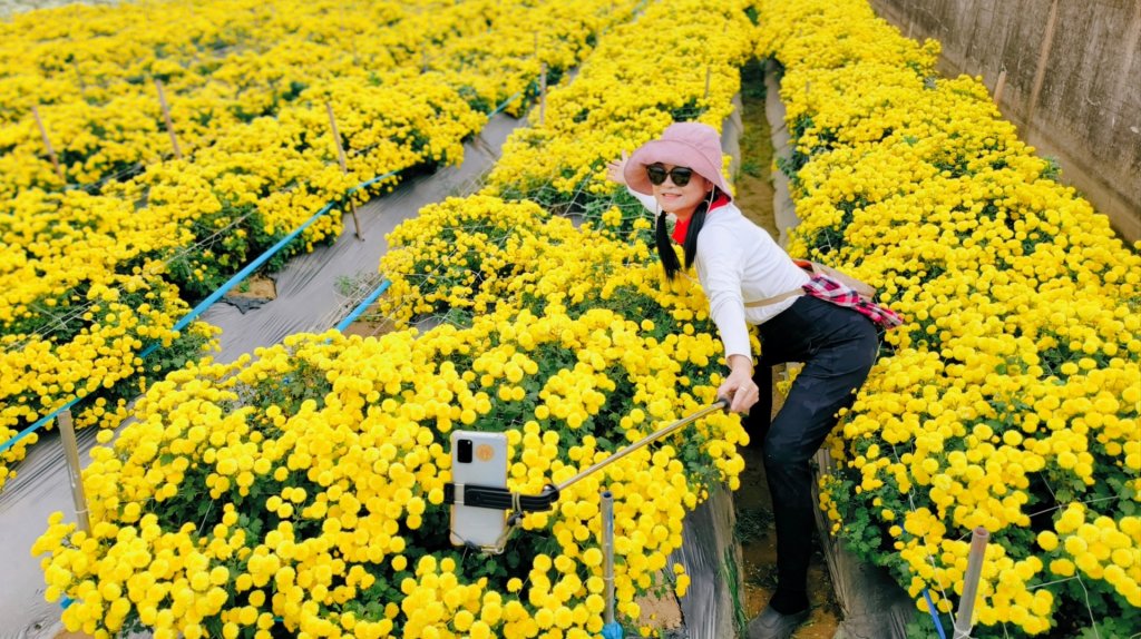 雙峰主西北員屯山縱走+銅鑼杭菊_1937674