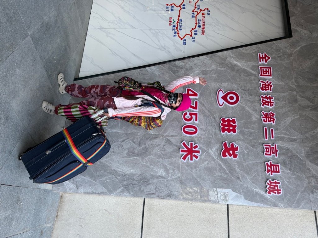川藏318熱門的卡點-尼瑪-當惹擁措-大地之樹-雅丹地貌聖象天門_2905204